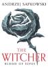 Detail titulu Blood of Elves: The bestselling novel which inspired season 2 of Netflix´s The Witcher