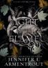 Detail titulu A Light in the Flame: A Flesh and Fire Novel