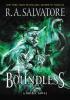 Detail titulu Boundless: A Drizzt Novel