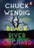 Detail titulu Black River Orchard: A masterpiece of horror from the bestselling author of Wanderers and The Book of Accidents