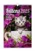 Detail titulu Kalendář nástěnný 2025 - Kittens / Katzenbabys / Koťátka / Mačičky