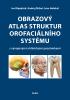 Detail titulu Obrazový atlas struktur orofaciálního systému s vývojovými a klinickými poznámkami