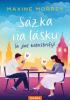 Detail titulu Sázka na lásku (a jiné katastrofy)