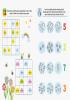 small-list